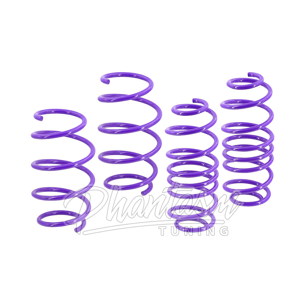 D2 RACING / PERFORMANCE LOWERING SPRINGS (D-SP-TS-02) *** TESLA MODEL 3 (2017-2025) RWD