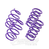 D2 RACING / PERFORMANCE LOWERING SPRINGS (D-SP-TS-02) *** TESLA MODEL 3 (2017-2025) RWD