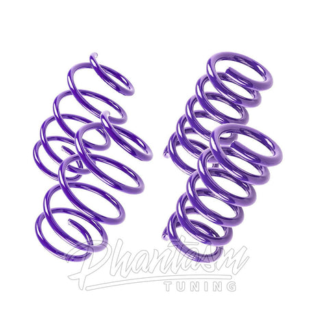 D2 RACING / PERFORMANCE LOWERING SPRINGS (D-SP-TS-02) *** TESLA MODEL 3 (2017-2025) RWD