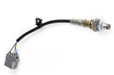 HALTECH / WB1 WIDEBAND CONTROLLER KIT / SINGLE CHANNEL / NTK O2 SENSOR (HT-159978) *** METHANOL APPLICATION