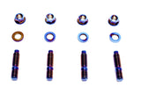 PLM / TITANIUM BOLTS / TURBO TO HEADER MANIFOLD STUD KIT (PLM-M10-BOLT-TITAN-TURBO-4PCS) *** M10 X 1.50 X 48 MM LENGTH