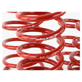 Skunk2 Lowering Springs (2013-2021 Subaru BRZ/Scion FR-S/Toyota 86)