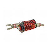 SKUNK2 / PRO-S II COILOVER / SUSPENSION KIT (541-05-4720) *** ACURA INTEGRA (1994-2001), HONDA CIVIC (1992-1995), HONDA DEL SOL (1993-1997)